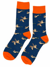 Load image into Gallery viewer, Ducks