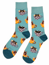 Load image into Gallery viewer, Blue Kittens
