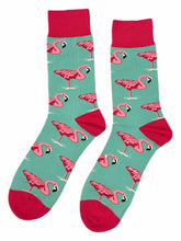 Load image into Gallery viewer, Flamingo Wading
