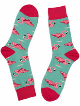 Load image into Gallery viewer, Flamingo Wading
