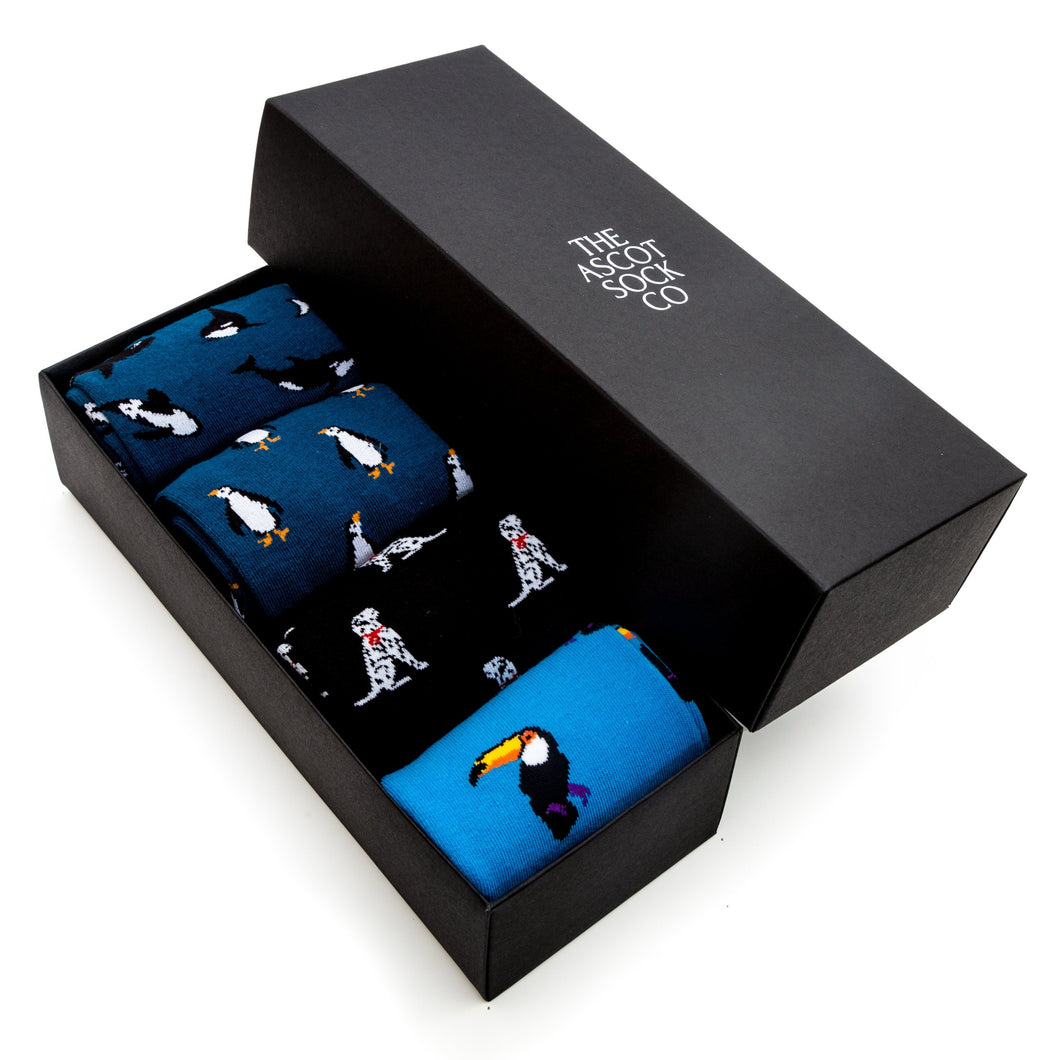 animal socks gift box black